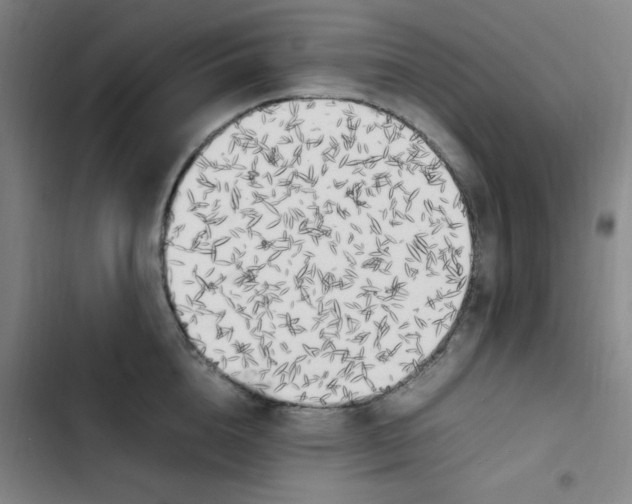 X0000102860856200809151209