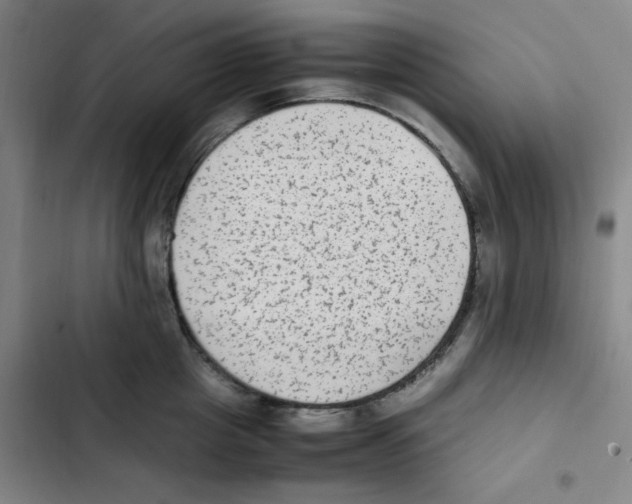 X0000102860857200809151209