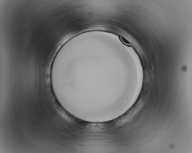 X0000102860858200809151209