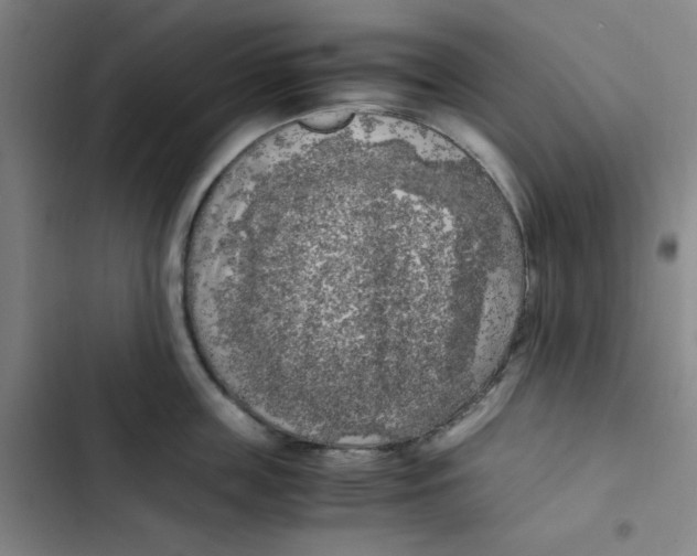 X0000102860859200809151209
