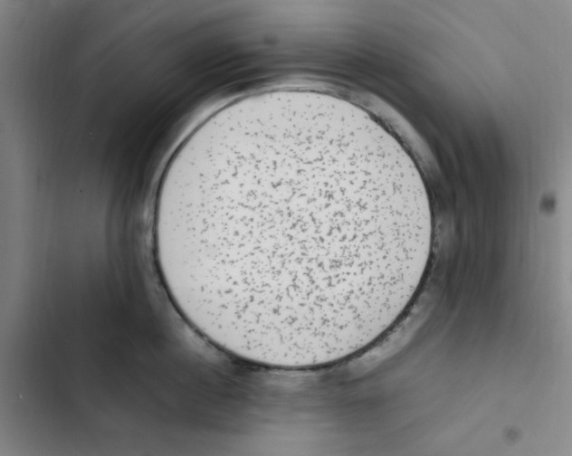 X0000102860860200809151209