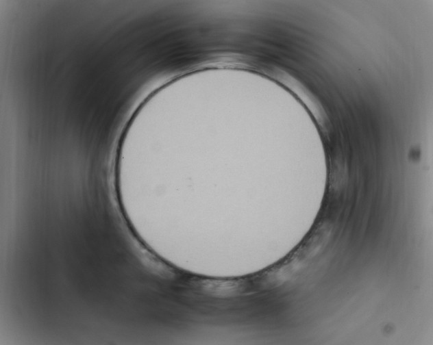 X0000102860861200809151209
