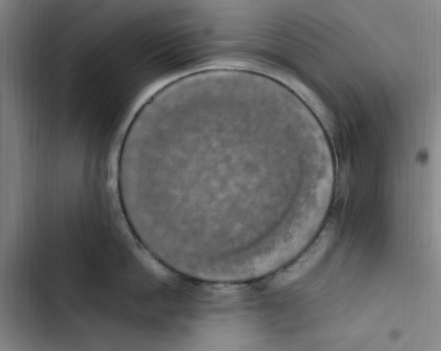 X0000102860862200809151209