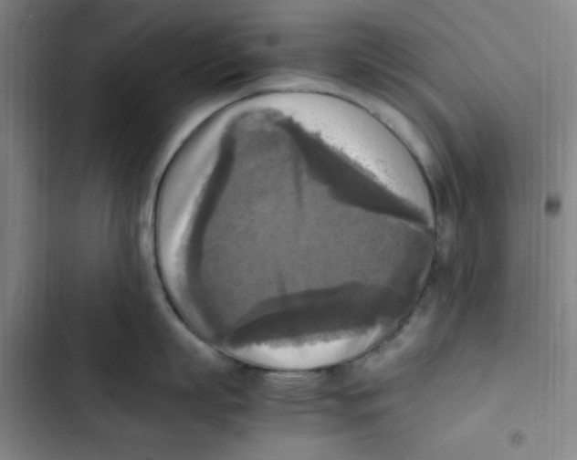 X0000102860863200809151209