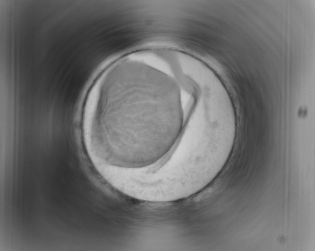 X0000102860864200809151209
