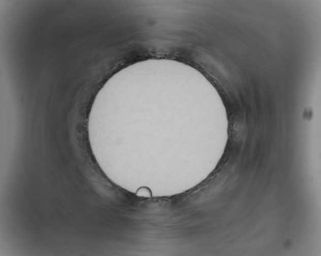 X0000102860865200809151209