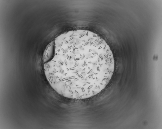 X0000102860866200809151209
