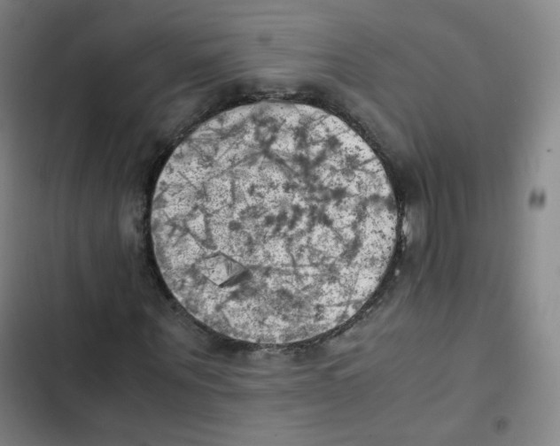 X0000102860867200809151209