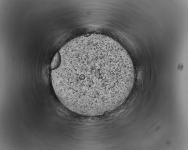 X0000102860868200809151209