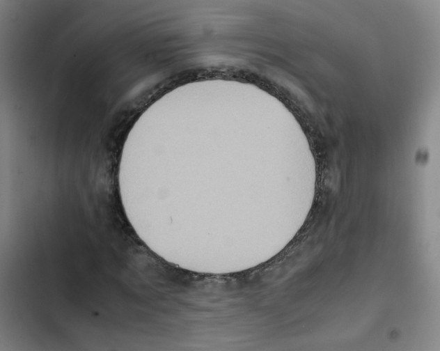 X0000102860869200809151209