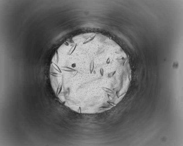 X0000102860870200809151209