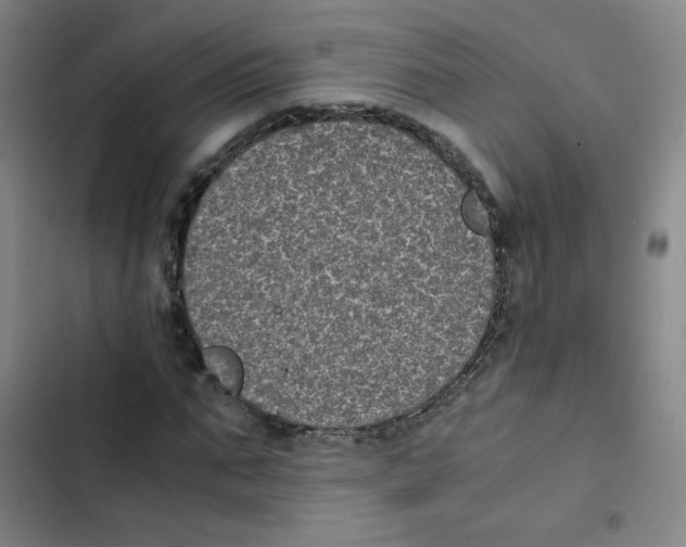 X0000102860871200809151209