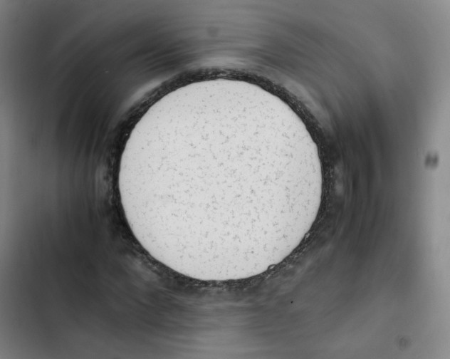 X0000102860872200809151209