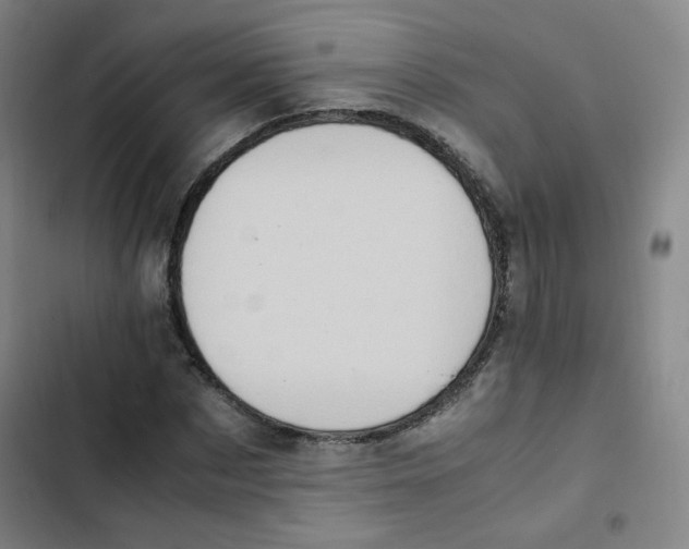 X0000102860873200809151209