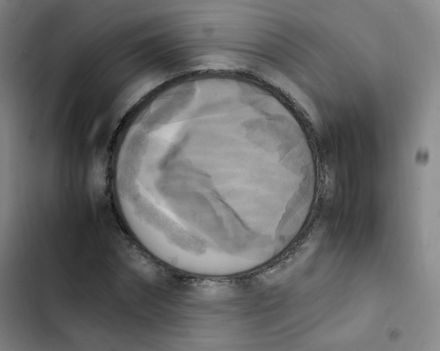 X0000102860874200809151208