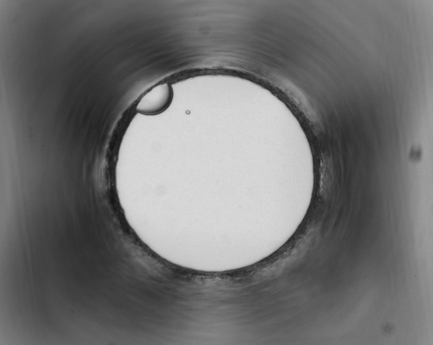 X0000102860876200809151208