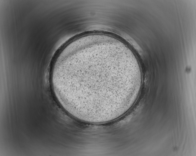 X0000102860877200809151208