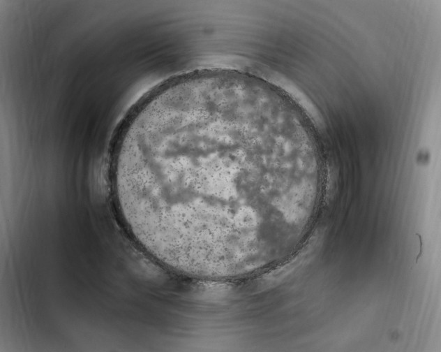 X0000102860878200809151208