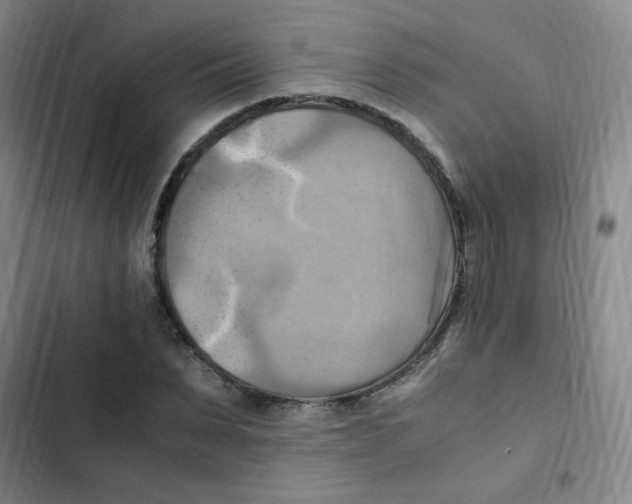 X0000102860879200809151208
