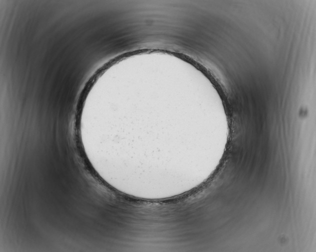 X0000102860880200809151208