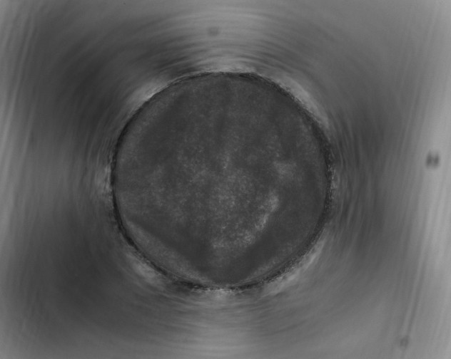 X0000102860881200809151208