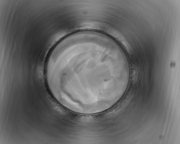 X0000102860882200809151208