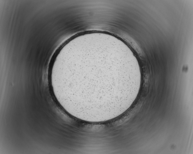 X0000102860884200809151208