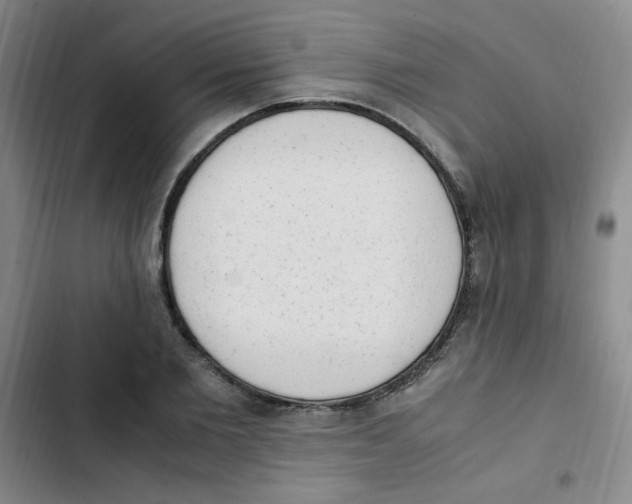 X0000102860885200809151208