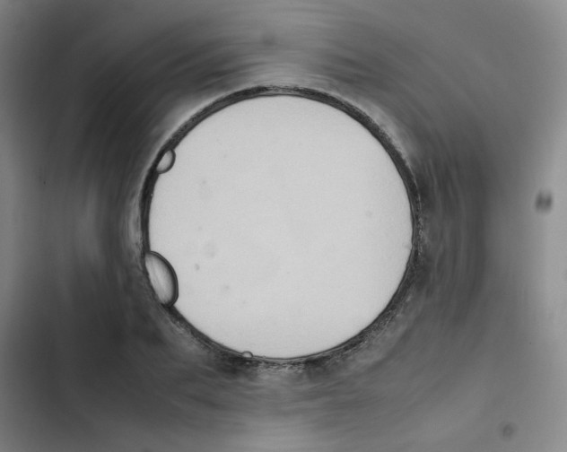 X0000102860887200809151208