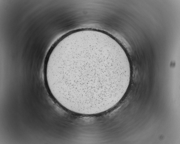 X0000102860888200809151208