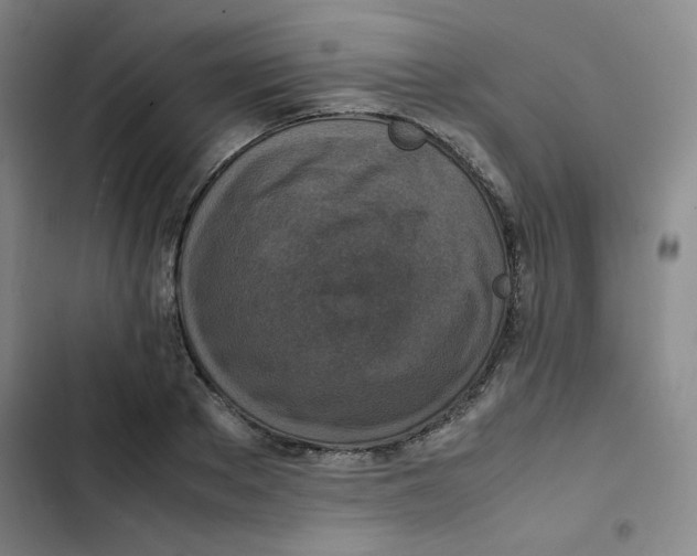 X0000102860889200809151208