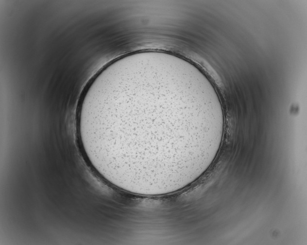 X0000102860890200809151208