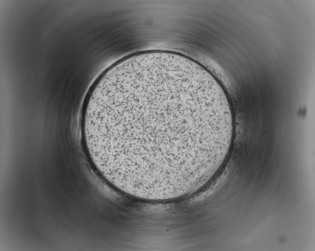 X0000102860892200809151208