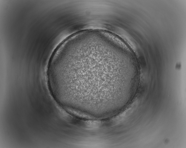 X0000102860893200809151208