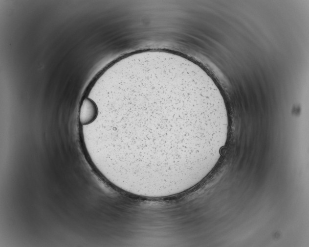 X0000102860894200809151208