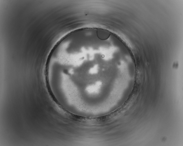 X0000102860895200809151208