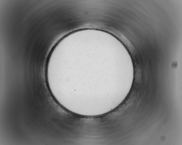 X0000102860896200809151208