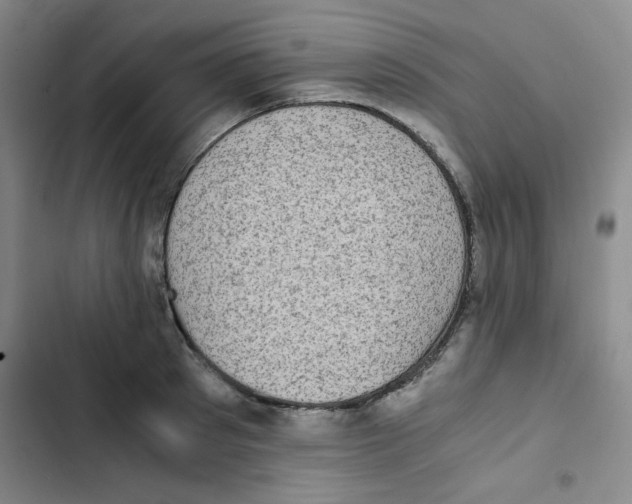 X0000102860897200809151208