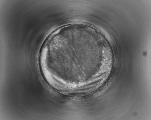 X0000102860899200809151208
