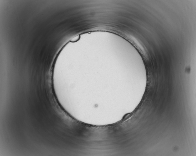 X0000102860900200809151208
