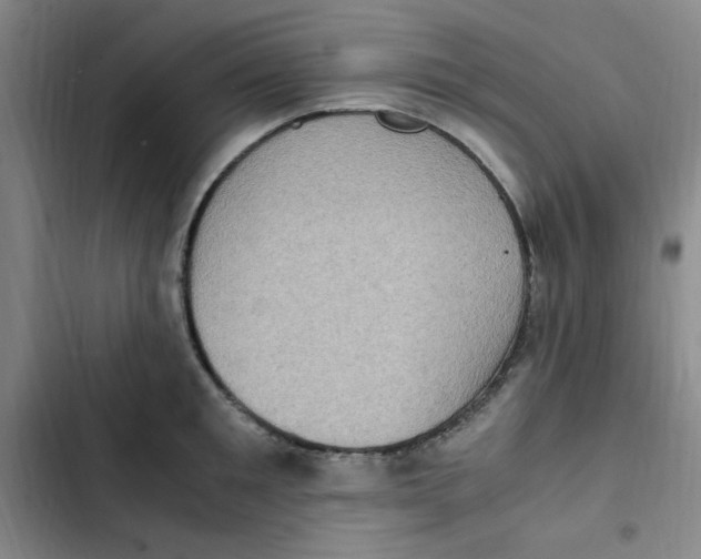 X0000102860901200809151208