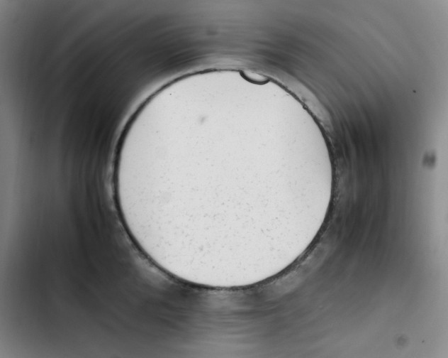 X0000102860904200809151208
