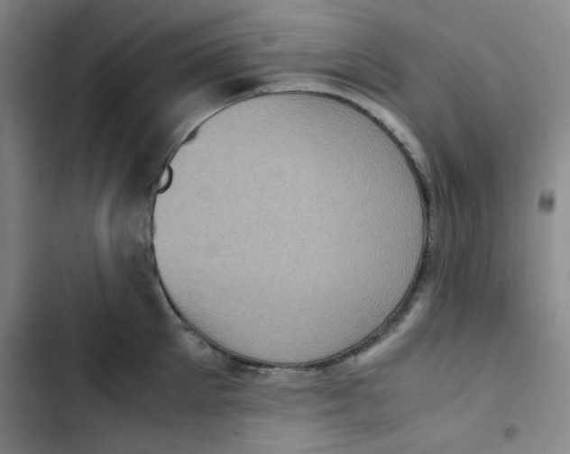 X0000102860905200809151208