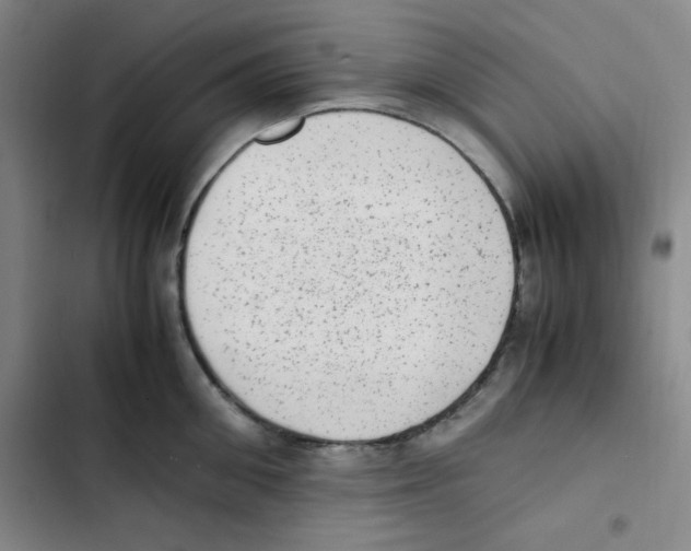 X0000102860906200809151208