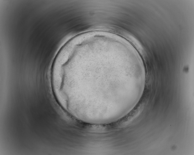 X0000102860907200809151208