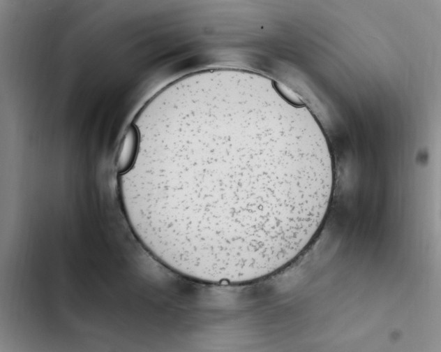 X0000102860908200809151208