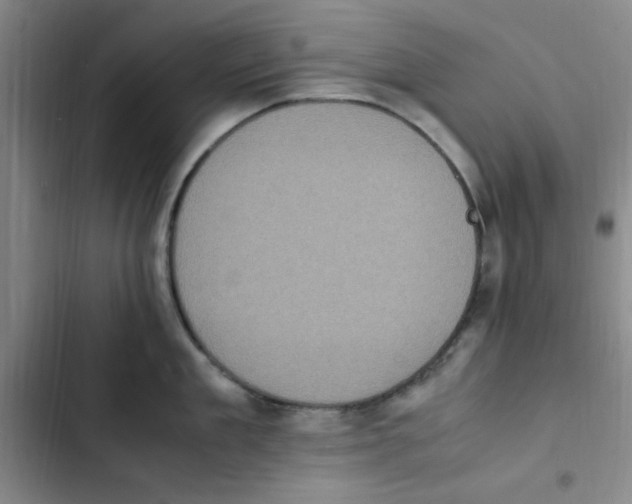X0000102860909200809151208