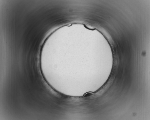 X0000102860910200809151208