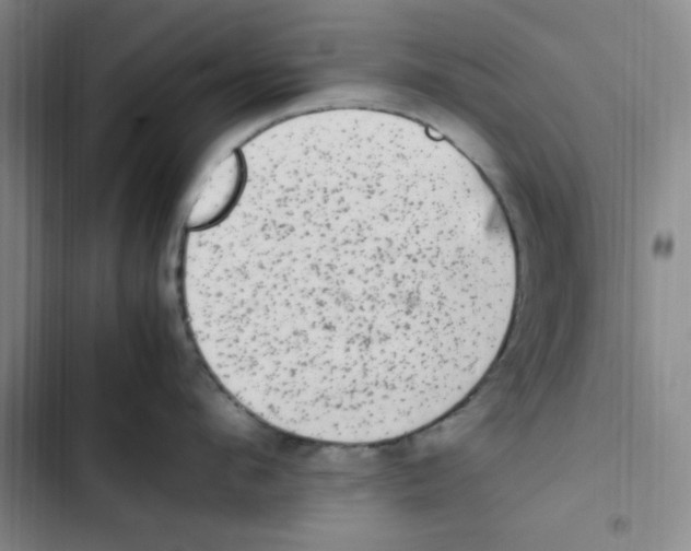 X0000102860912200809151208