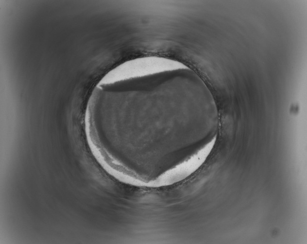 X0000102860913200809151207